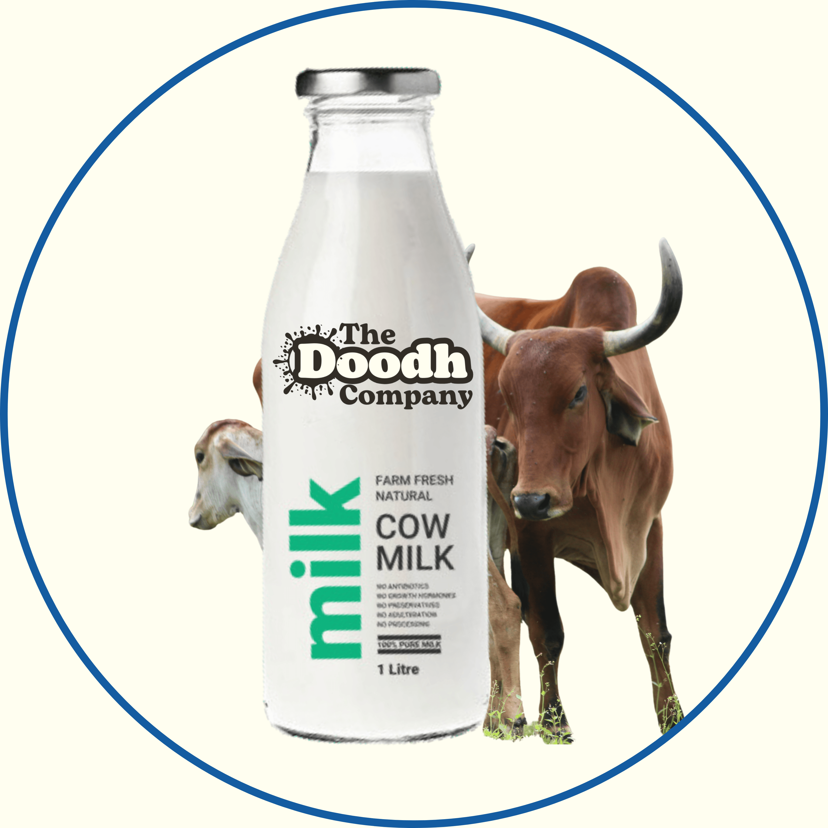 Fresh Cow Milk - The Doodh Company