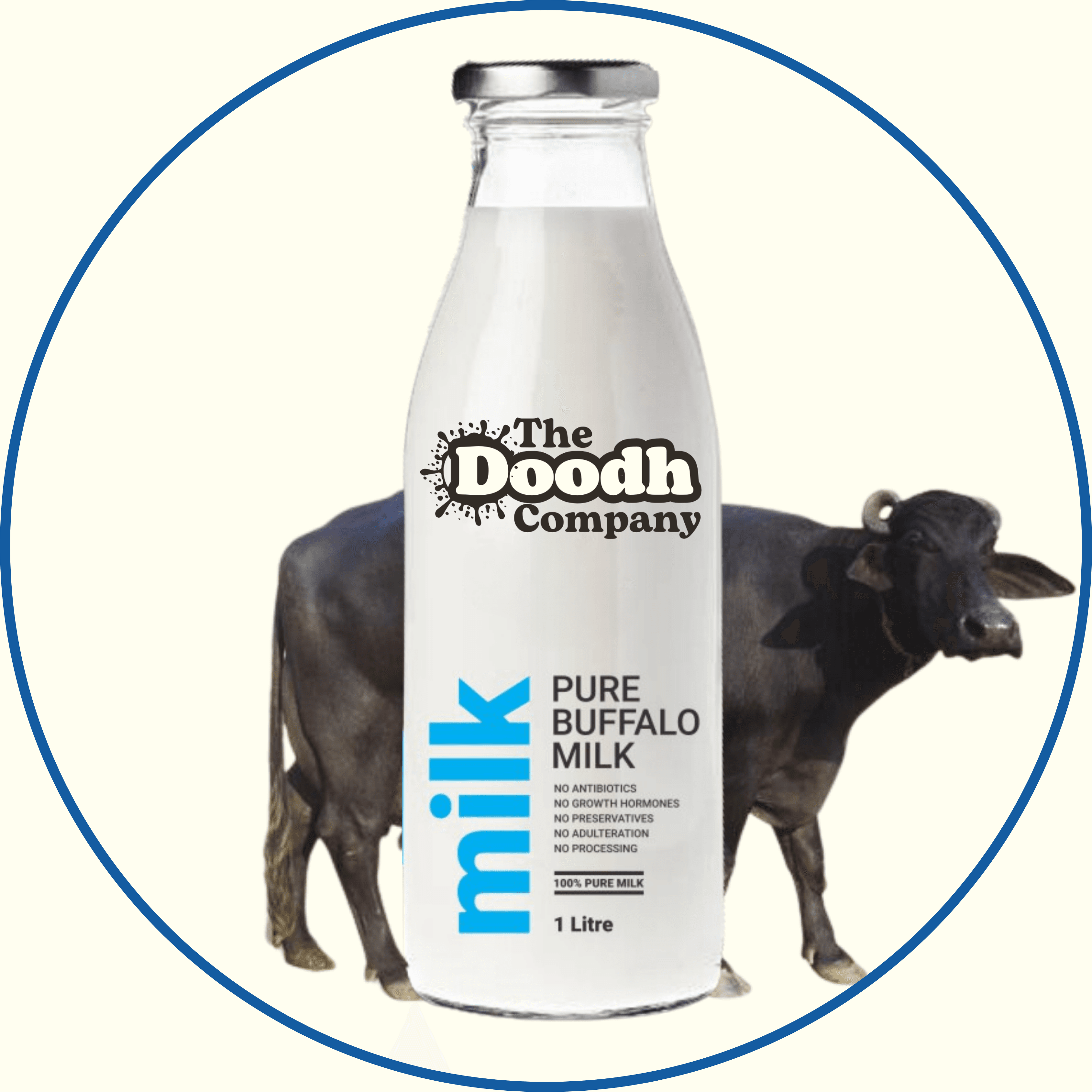 Fresh Buffalo Milk - The Doodh Company